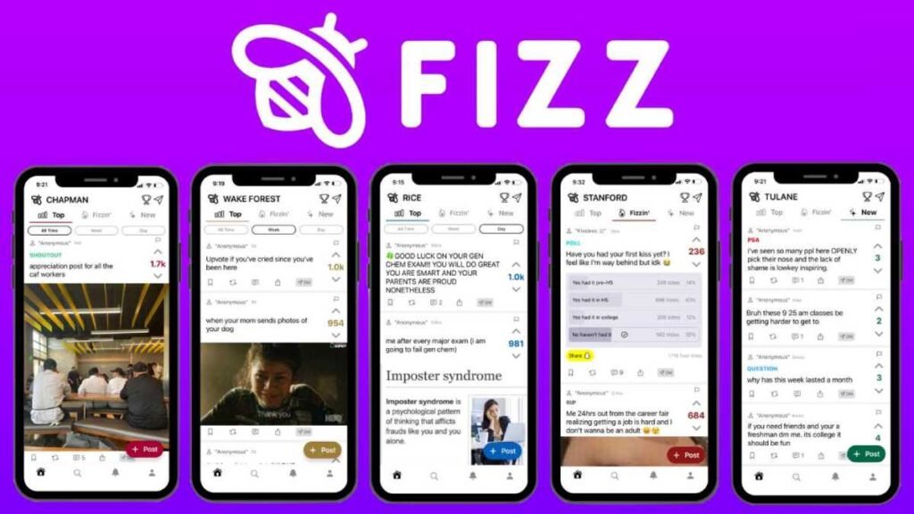 Fizz-Image-1