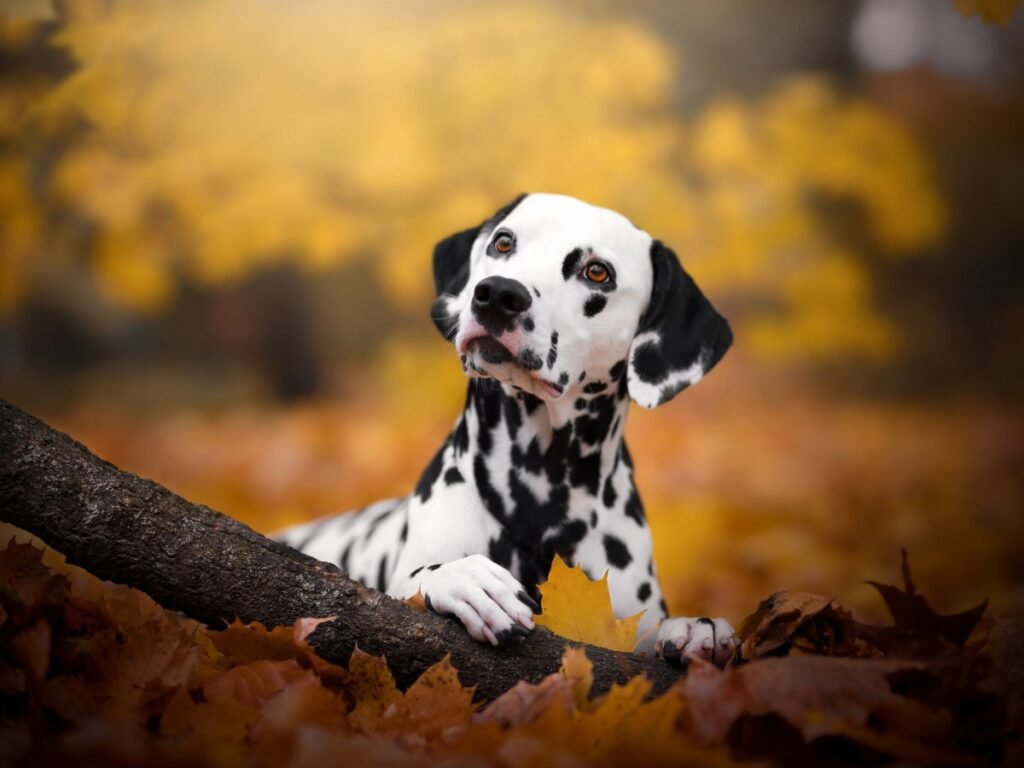 GettyImages-1357481031