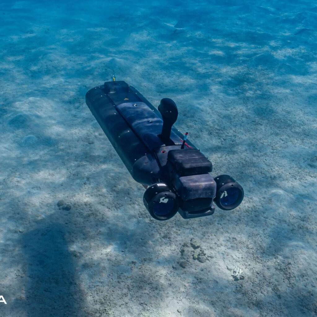 Skana