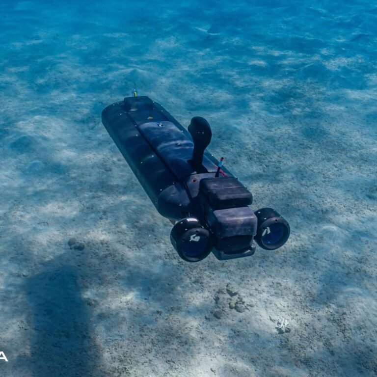 Skana