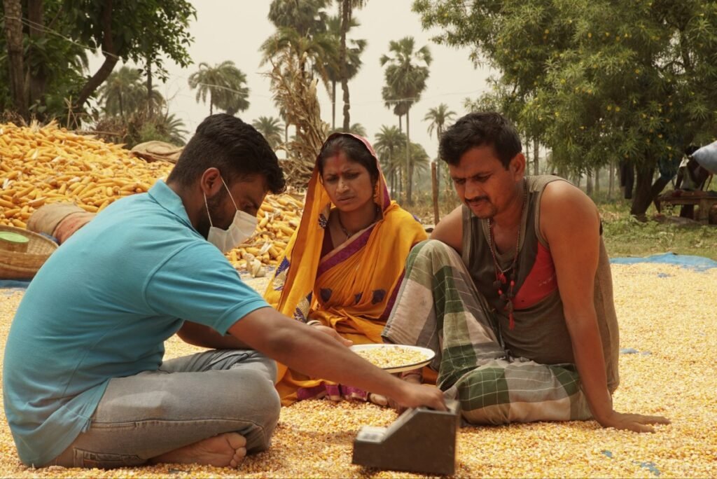 arya-ag-grain-collection-storage